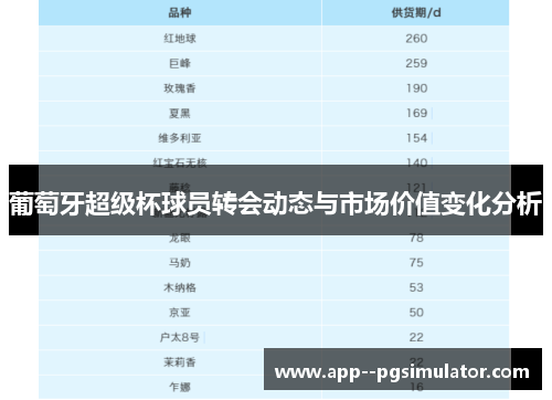 葡萄牙超级杯球员转会动态与市场价值变化分析