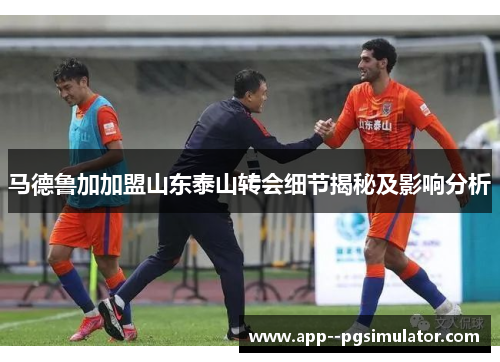 马德鲁加加盟山东泰山转会细节揭秘及影响分析